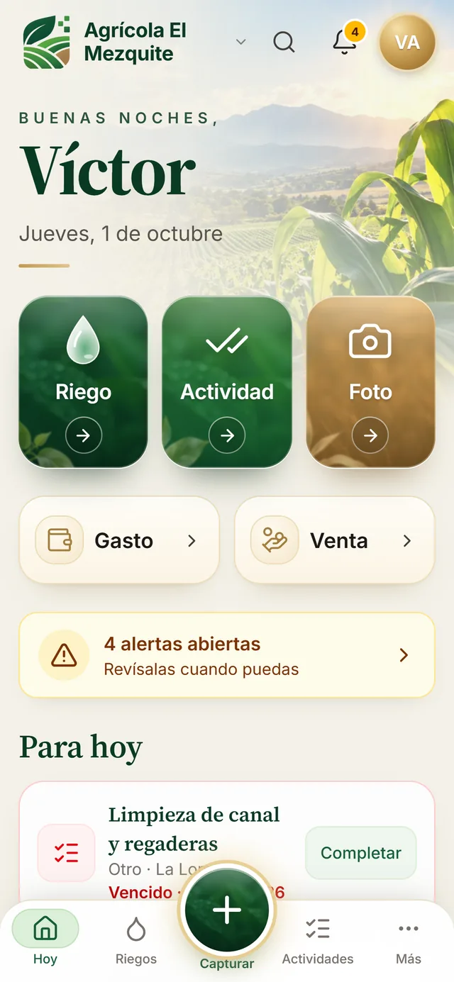 Pantalla Hoy del celular